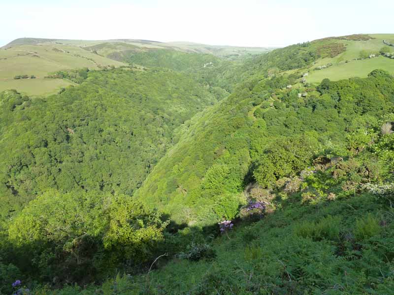 East Lyn Gorge